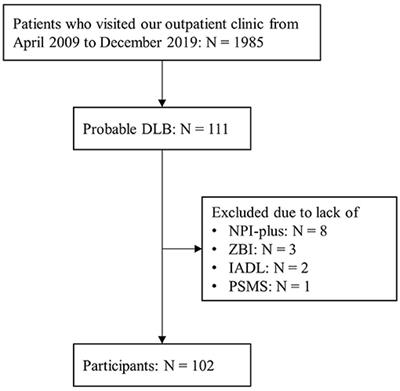 Impact of Behavioral and Psychological Symptoms on Caregiver Burden in Patients With Dementia With Lewy Bodies